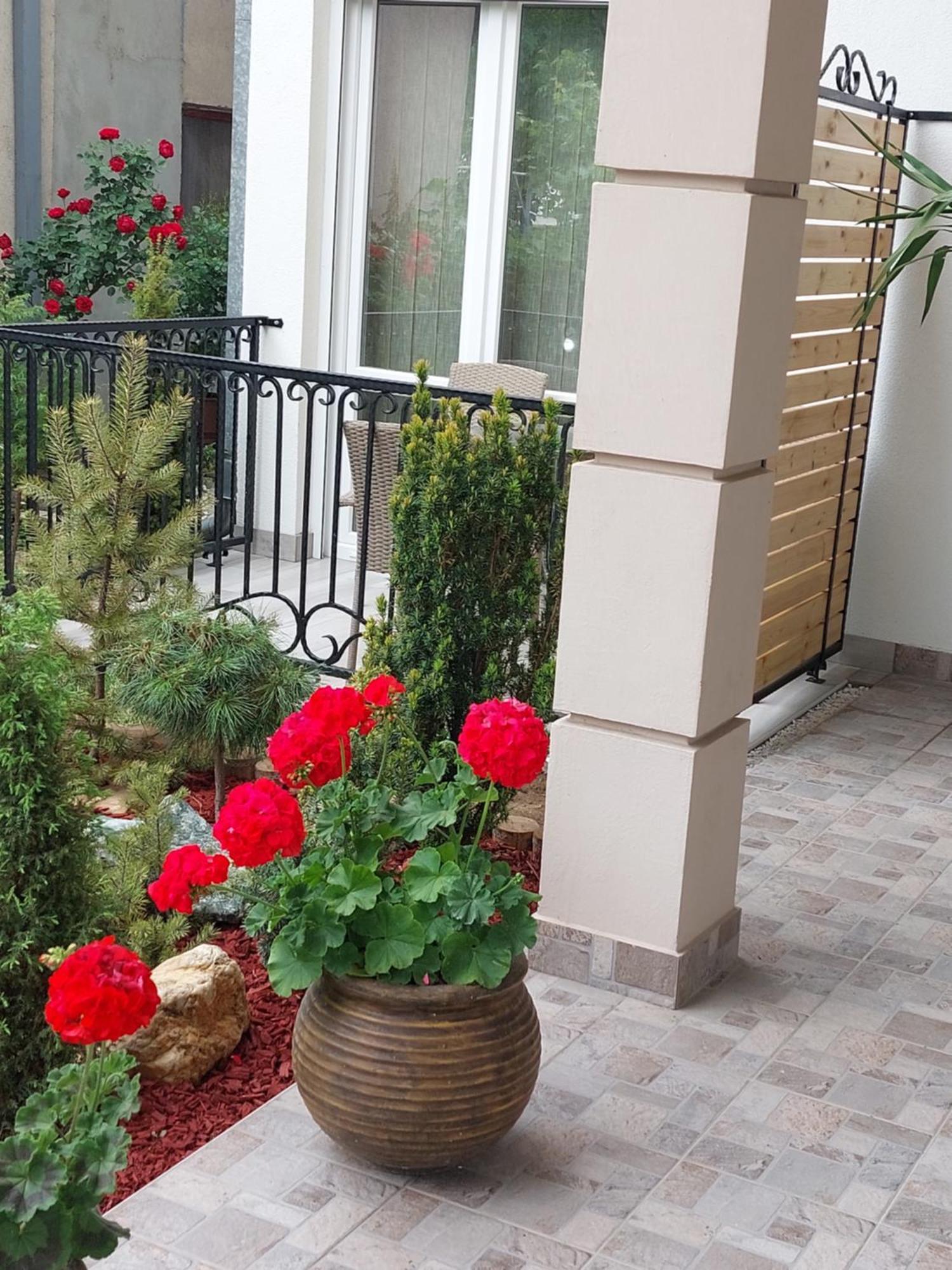 Apartmani Radulovic Vrnjačka Banja 客房 照片
