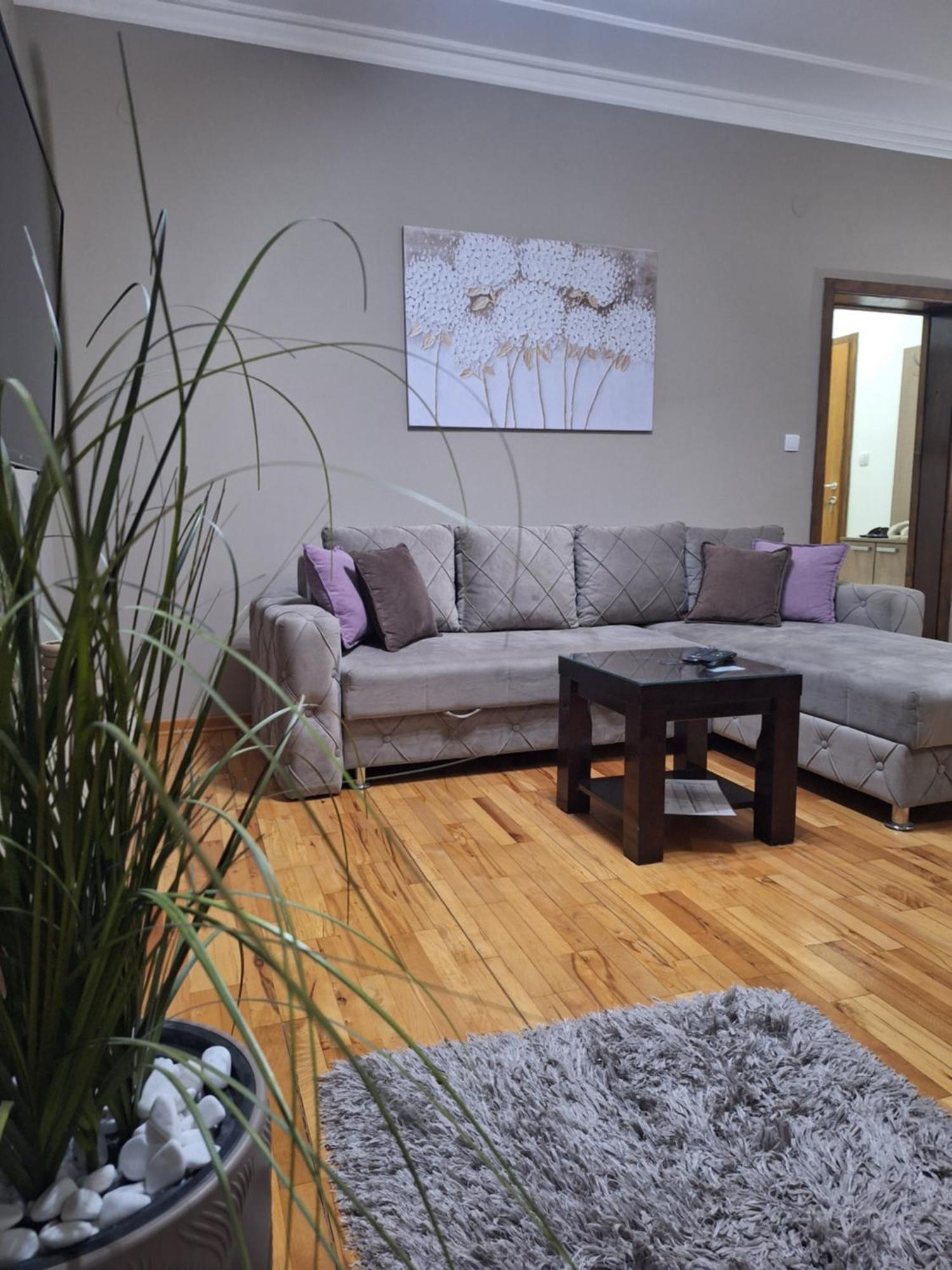 Apartmani Radulovic Vrnjačka Banja 客房 照片